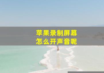 苹果录制屏幕怎么开声音呢