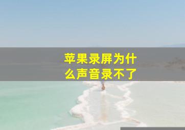 苹果录屏为什么声音录不了