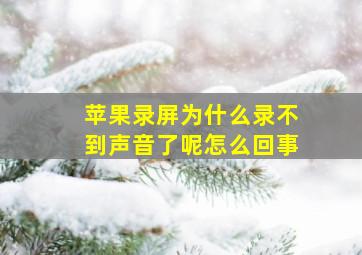 苹果录屏为什么录不到声音了呢怎么回事