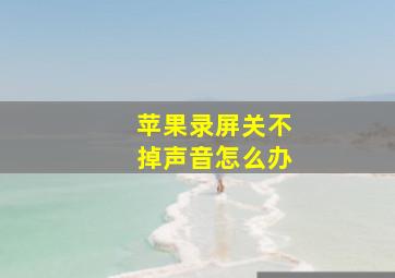 苹果录屏关不掉声音怎么办