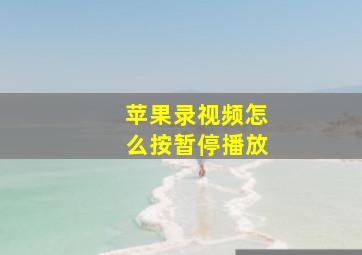 苹果录视频怎么按暂停播放