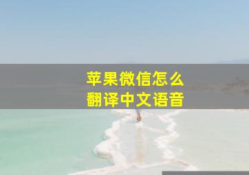 苹果微信怎么翻译中文语音