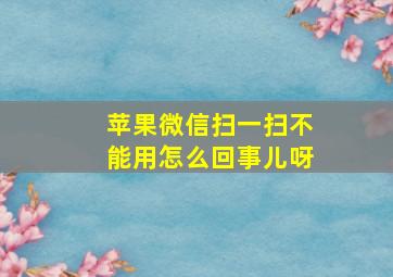 苹果微信扫一扫不能用怎么回事儿呀