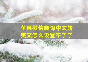 苹果微信翻译中文转英文怎么设置不了了