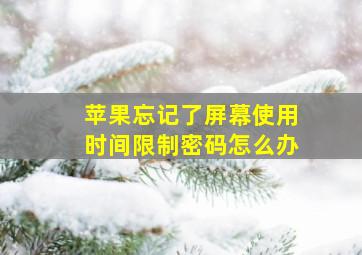 苹果忘记了屏幕使用时间限制密码怎么办