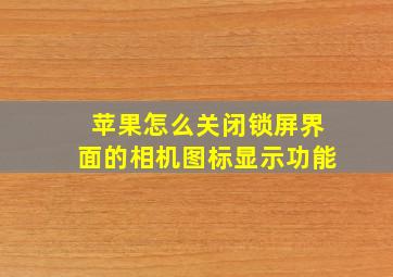 苹果怎么关闭锁屏界面的相机图标显示功能