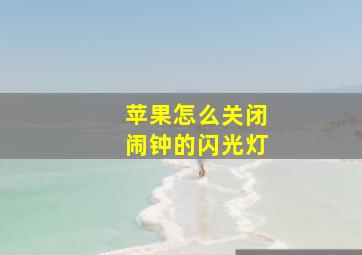 苹果怎么关闭闹钟的闪光灯