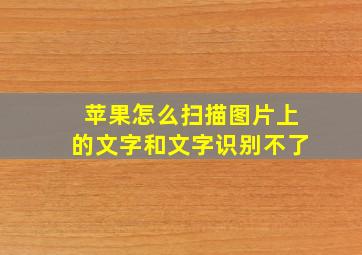 苹果怎么扫描图片上的文字和文字识别不了