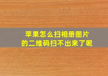 苹果怎么扫相册图片的二维码扫不出来了呢