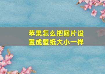 苹果怎么把图片设置成壁纸大小一样