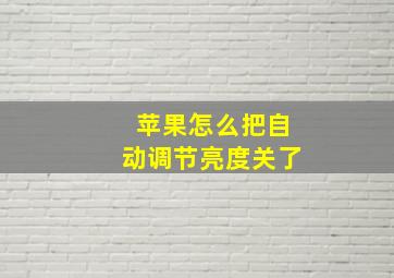 苹果怎么把自动调节亮度关了