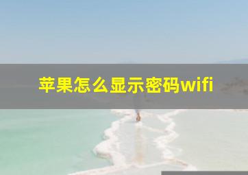 苹果怎么显示密码wifi