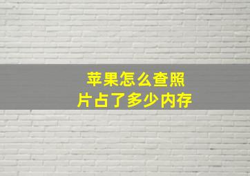 苹果怎么查照片占了多少内存