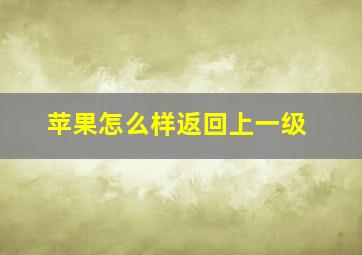 苹果怎么样返回上一级