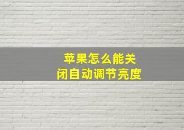 苹果怎么能关闭自动调节亮度