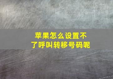 苹果怎么设置不了呼叫转移号码呢