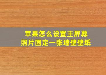 苹果怎么设置主屏幕照片固定一张墙壁壁纸