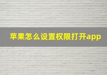 苹果怎么设置权限打开app