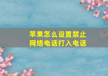 苹果怎么设置禁止网络电话打入电话