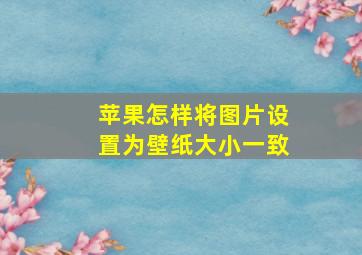 苹果怎样将图片设置为壁纸大小一致