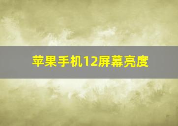 苹果手机12屏幕亮度