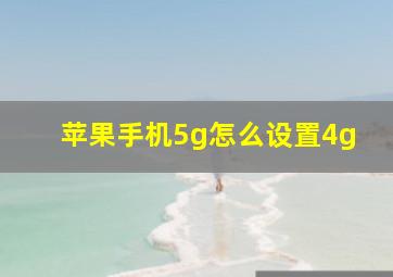 苹果手机5g怎么设置4g