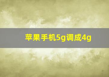 苹果手机5g调成4g