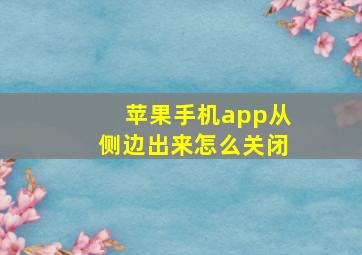 苹果手机app从侧边出来怎么关闭