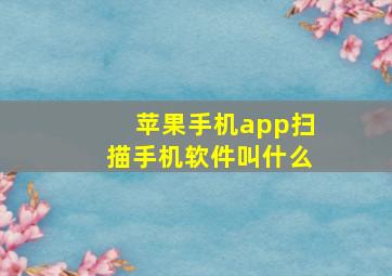 苹果手机app扫描手机软件叫什么