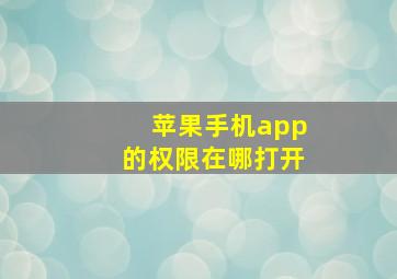 苹果手机app的权限在哪打开