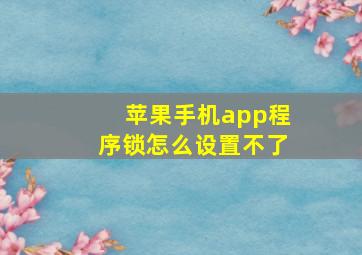 苹果手机app程序锁怎么设置不了