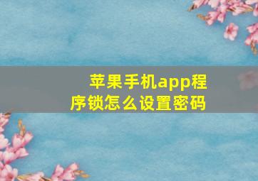 苹果手机app程序锁怎么设置密码