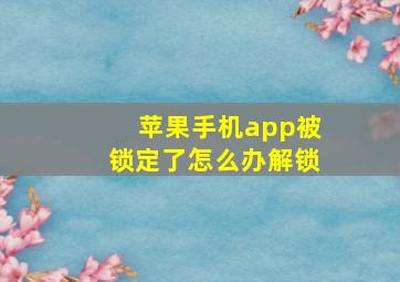 苹果手机app被锁定了怎么办解锁