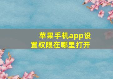 苹果手机app设置权限在哪里打开