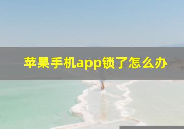 苹果手机app锁了怎么办