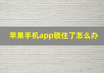 苹果手机app锁住了怎么办