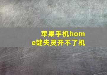 苹果手机home键失灵开不了机