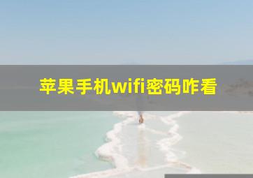 苹果手机wifi密码咋看