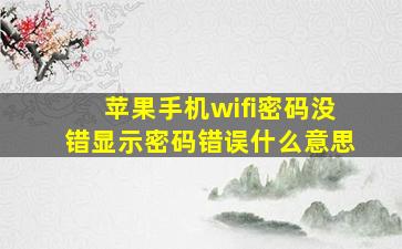 苹果手机wifi密码没错显示密码错误什么意思