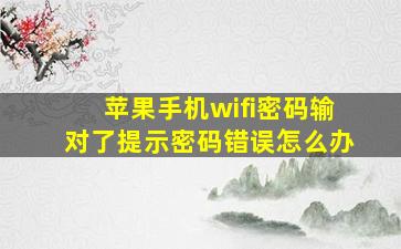 苹果手机wifi密码输对了提示密码错误怎么办