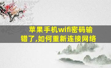 苹果手机wifi密码输错了,如何重新连接网络