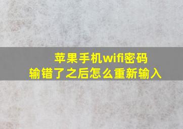 苹果手机wifi密码输错了之后怎么重新输入