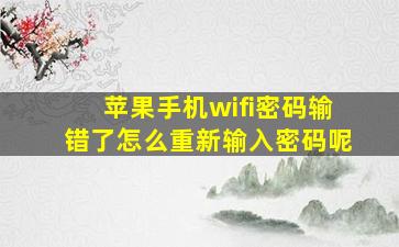 苹果手机wifi密码输错了怎么重新输入密码呢