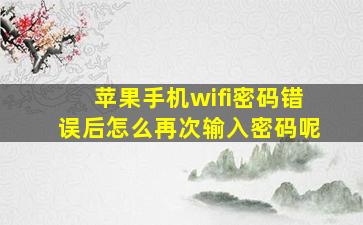 苹果手机wifi密码错误后怎么再次输入密码呢