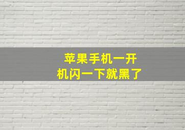 苹果手机一开机闪一下就黑了