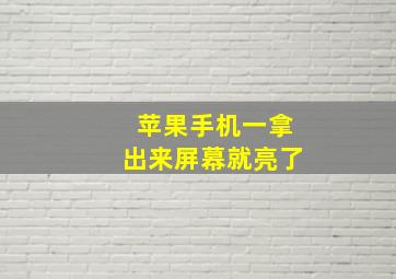 苹果手机一拿出来屏幕就亮了