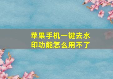 苹果手机一键去水印功能怎么用不了