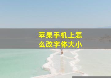 苹果手机上怎么改字体大小