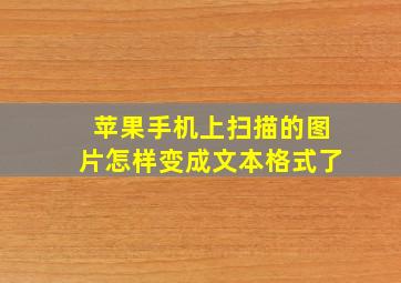 苹果手机上扫描的图片怎样变成文本格式了