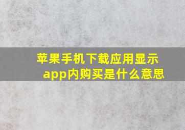 苹果手机下载应用显示app内购买是什么意思